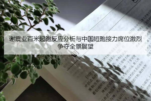 谢震业百米起跑反应分析与中国短跑接力席位激烈争夺全景展望