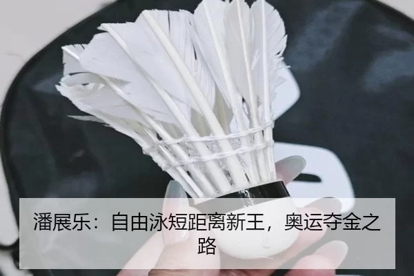 潘展乐：自由泳短距离新王，奥运夺金之路
