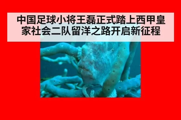 中国足球小将王磊正式踏上西甲皇家社会二队留洋之路开启新征程